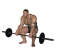 Reverse Curl - Squat Barbell
